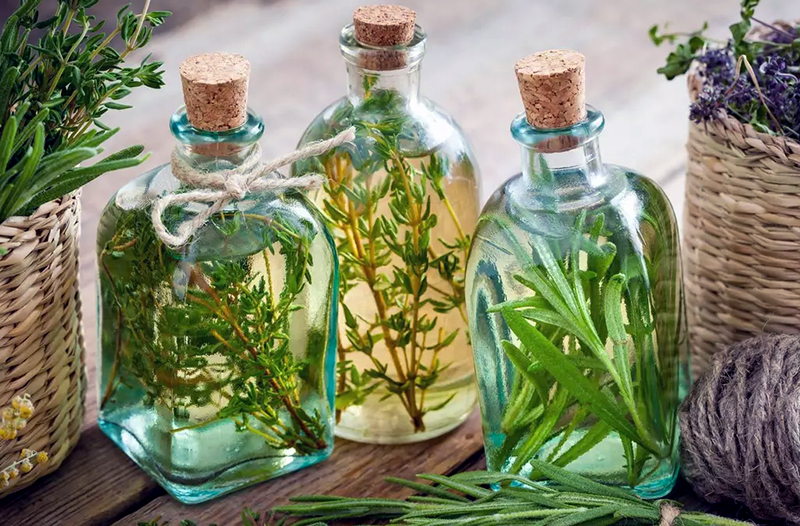 Este viernes caña con ruda: una tradición ancestral para recibir agosto con protección y salud Este viernes caña con ruda: una tradición ancestral para recibir agosto con protección y salud