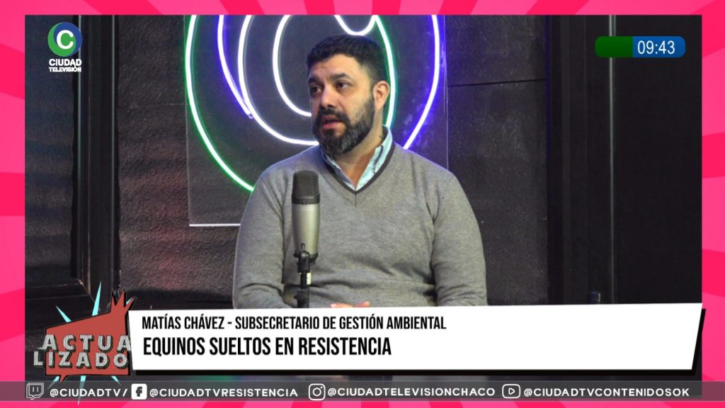 Caballos sueltos y tracción a sangre: el municipio de Resistencia refuerza controles y promueve la adopción responsable Caballos sueltos y tracción a sangre: el municipio de Resistencia refuerza controles y promueve la adopción responsable