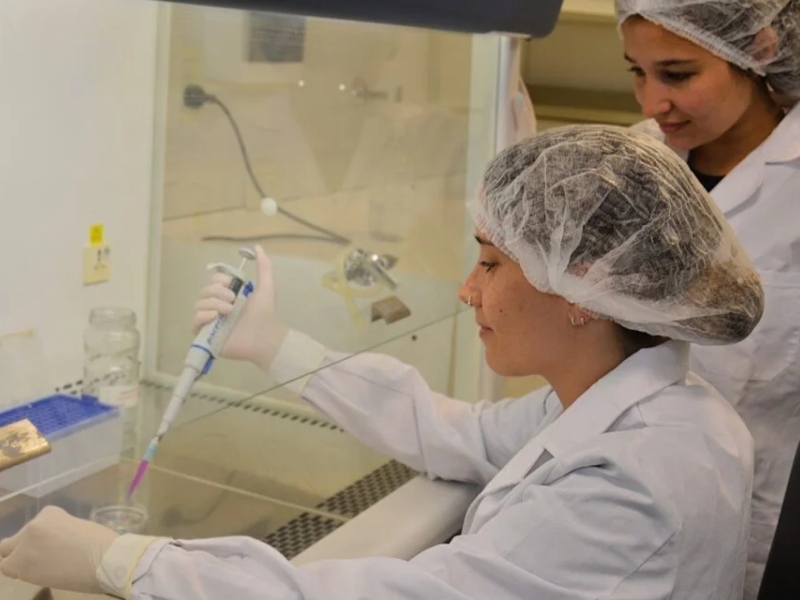 Avanza en Argentina una innovadora terapia para regenerar huesos a partir de células del cordón umbilical Avanza en Argentina una innovadora terapia para regenerar huesos a partir de células del cordón umbilical