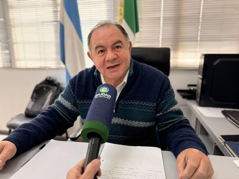 Paro de colectivos: Gobierno adjudicó el retraso en el pago de aportes a la caída del sistema y descarta sanciones Paro de colectivos: Gobierno adjudicó el retraso en el pago de aportes a la caída del sistema y descarta sanciones