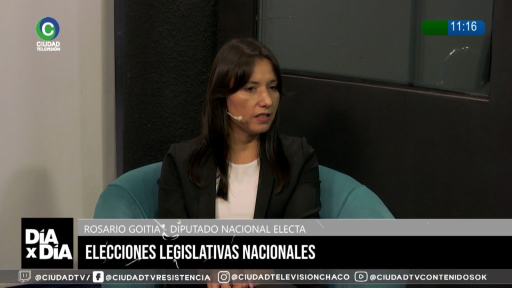 Reforma laboral: “El período de prueba se amplía hasta a doce meses”, adelantó la diputada electa por LLA del Chaco