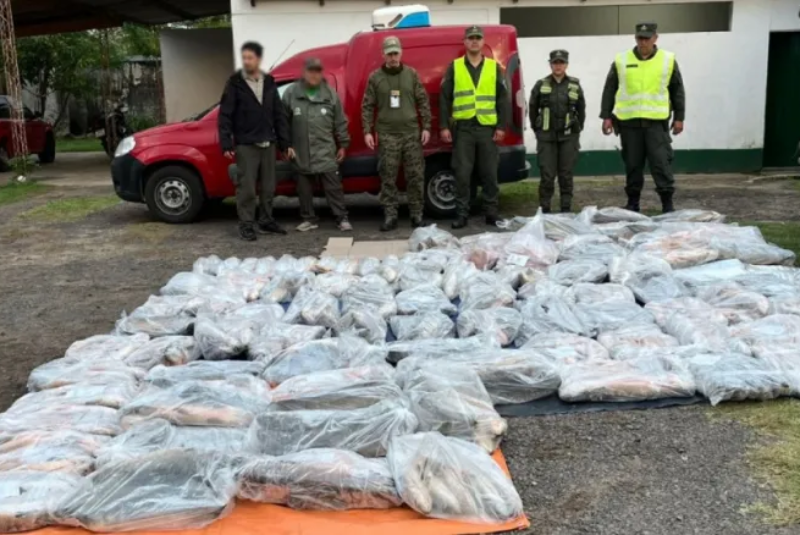 Corrientes: decomisaron 950 kilos de pescados que eran trasladados ilegalmente Corrientes: decomisaron 950 kilos de pescados que eran trasladados ilegalmente