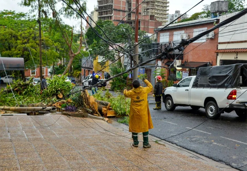 Fuerte temporal en Posadas causó caídas de árboles y barrios quedaron sin energía Fuerte temporal en Posadas causó caídas de árboles y barrios quedaron sin energía