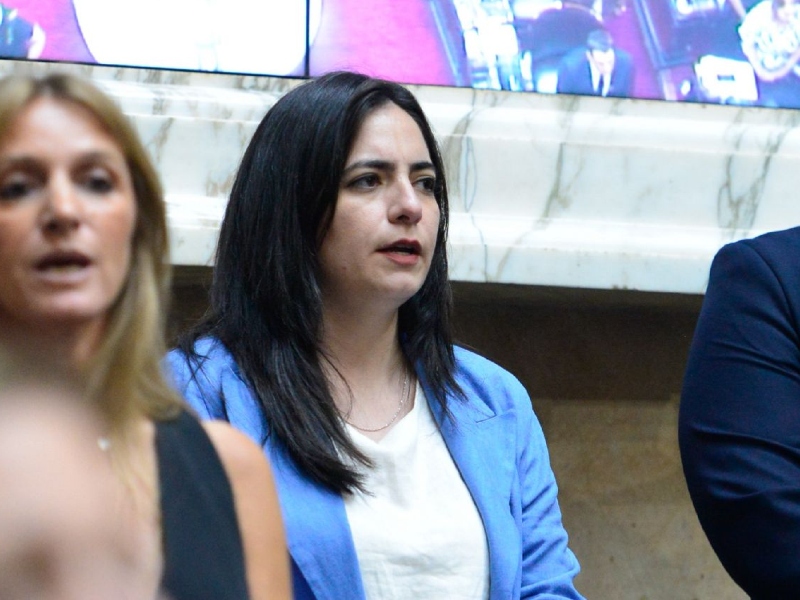 Campo: “El presupuesto de Milei ajusta al Chaco y profundiza las desigualdades” Campo: “El presupuesto de Milei ajusta al Chaco y profundiza las desigualdades”