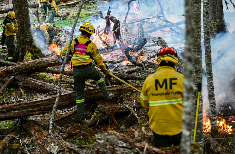 Alerta por peligro de incendios en casi toda la Argentina Alerta por peligro de incendios en casi toda la Argentina