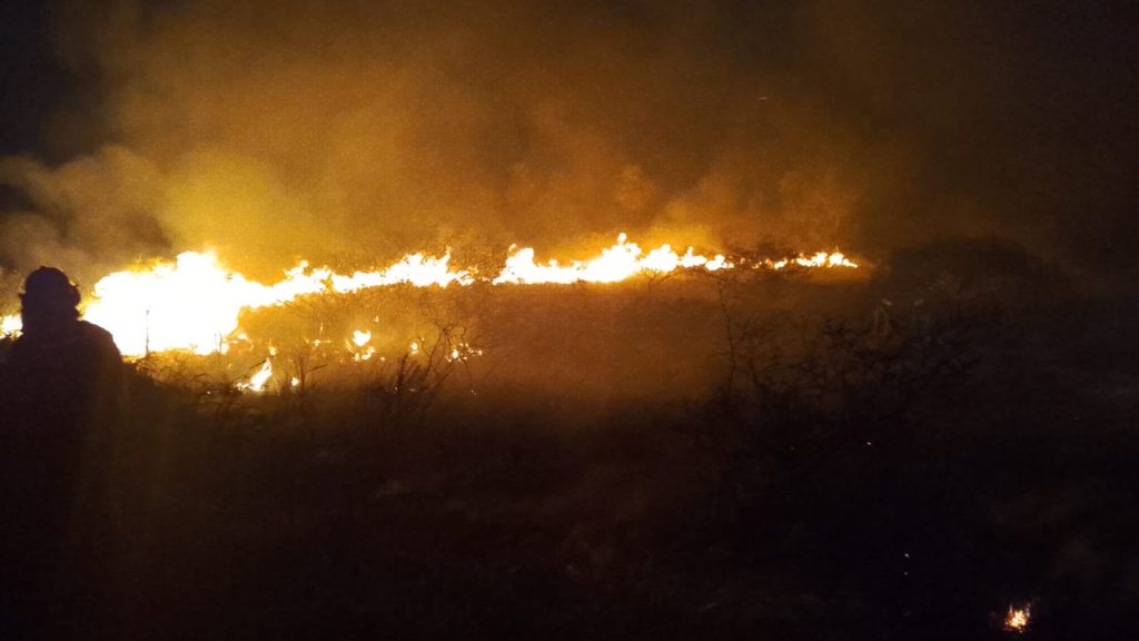 Bomberos controlaron incendio de gran magnitud sobre Ruta 11 Bomberos controlaron incendio de gran magnitud sobre Ruta 11
