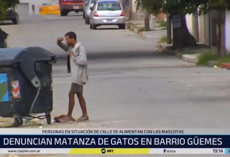 Pobreza extrema en Córdoba: vecinos denuncian desaparición de gatos para consumo Pobreza extrema en Córdoba: vecinos denuncian desaparición de gatos para consumo