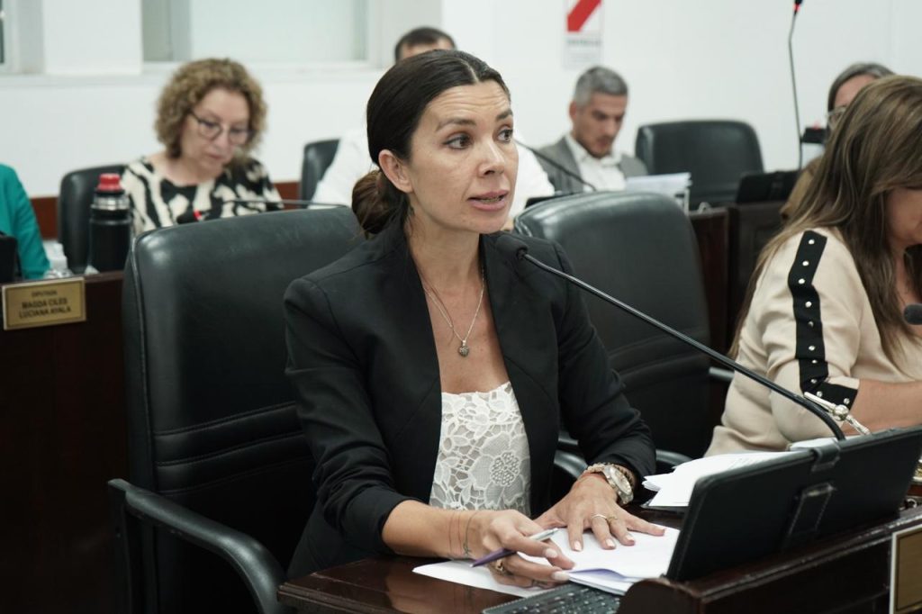Katia Blanc: “Podés saber el precio del dólar en tiempo real pero no el de tu boleta de luz”