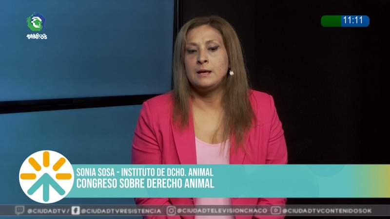 Congreso sobre derecho animal: “Tenemos elementos suficientes para empezar a dialogar” Congreso sobre derecho animal: “Tenemos elementos suficientes para empezar a dialogar”