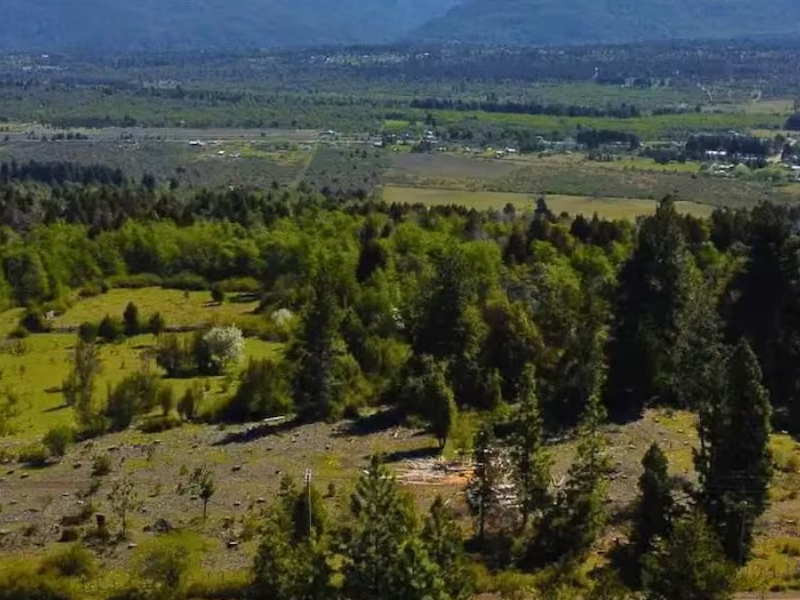 Se multiplicaron las publicaciones de venta de terrenos afectadas por incendios en la Patagonia Se multiplicaron las publicaciones de venta de terrenos afectadas por incendios en la Patagonia