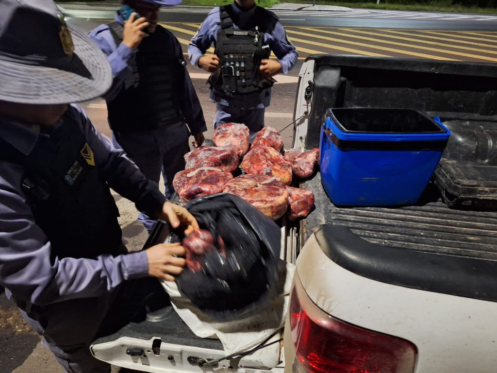 Operativo rural: detectaron transporte irregular de carne en ruta 11