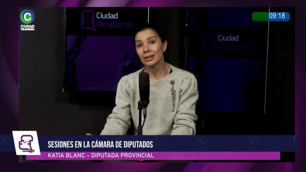 “Si no nos ponemos del lado de las pymes, vamos a tener el doble de empresas cerradas”, advirtió Blanc