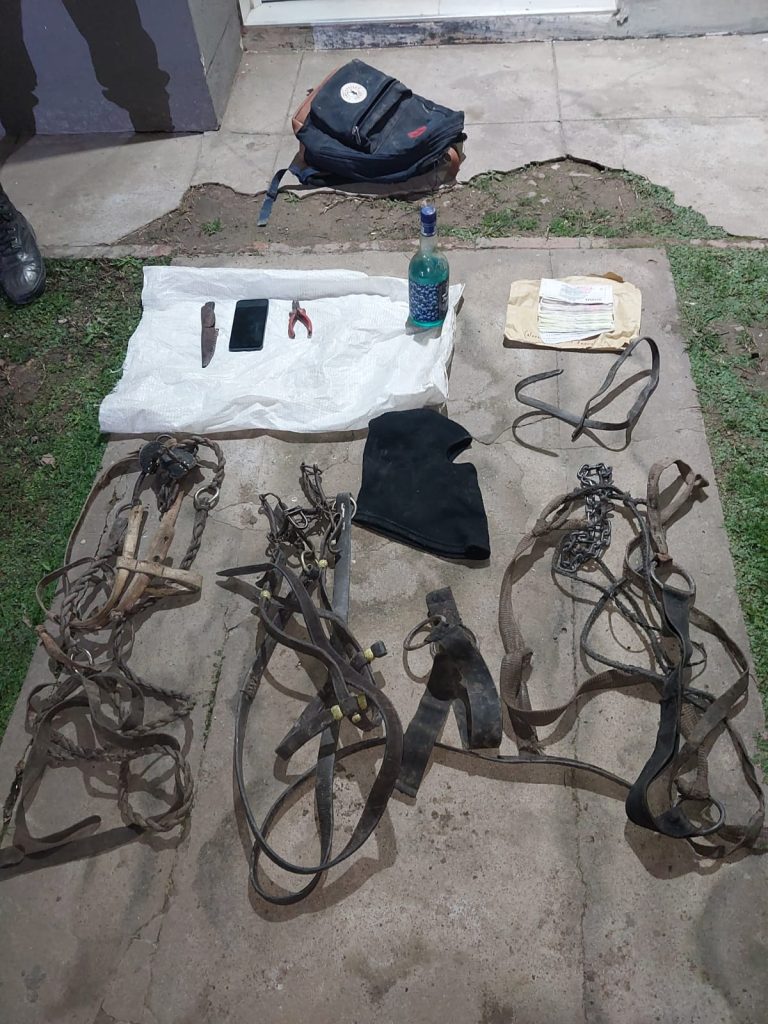 Dos jóvenes detenidos por el presunto traslado ilegal de caballos hacia Paraguay