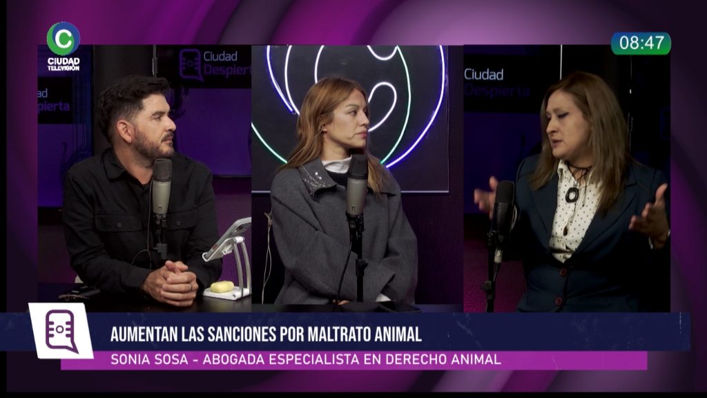 Régimen Provincial de Protección Animal: “Lo que falta son recursos, permanencia y estructura”