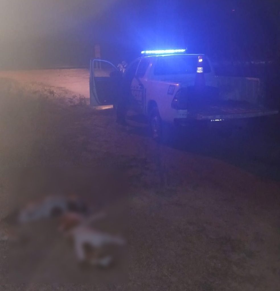 Charadai: detuvieron a un hombre por una causa de maltrato y crueldad animal
