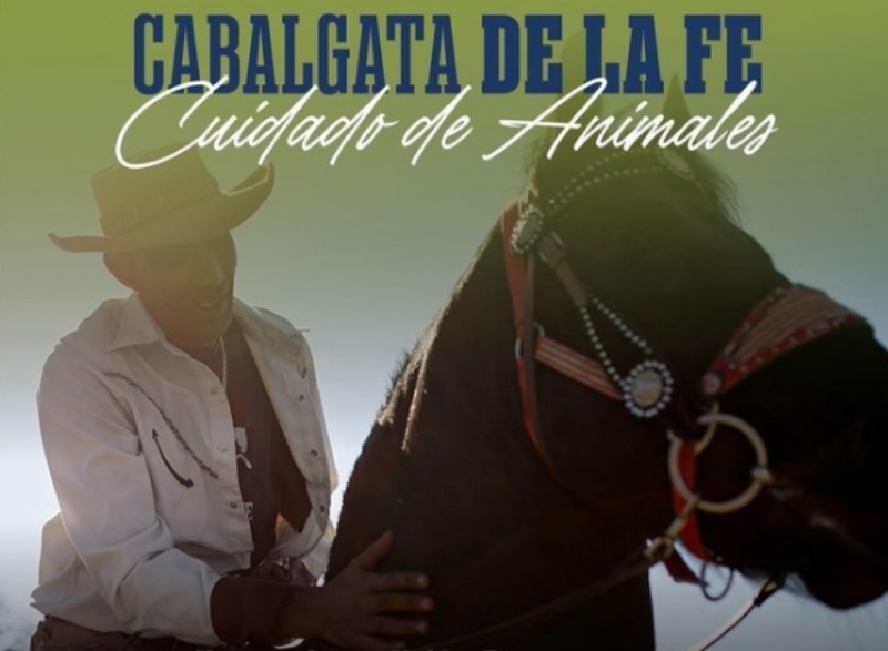 Cabalgata de la Fe 2026: refuerzan el plan de bienestar animal para proteger a los caballos durante la peregrinación Cabalgata de la Fe 2026: refuerzan el plan de bienestar animal para proteger a los caballos durante la peregrinación