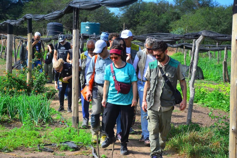 Los escultores de la Bienal del Impenetrable compartieron una experiencia gastronómica en Finca Don Miguel Los escultores de la Bienal del Impenetrable compartieron una experiencia gastronómica en Finca Don Miguel