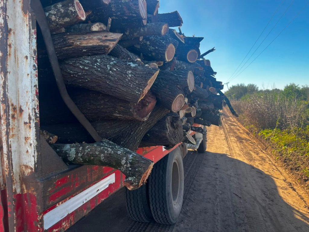 Tres Isletas: secuestraron 11 toneladas de madera transportada sin documentación durante un operativo rural