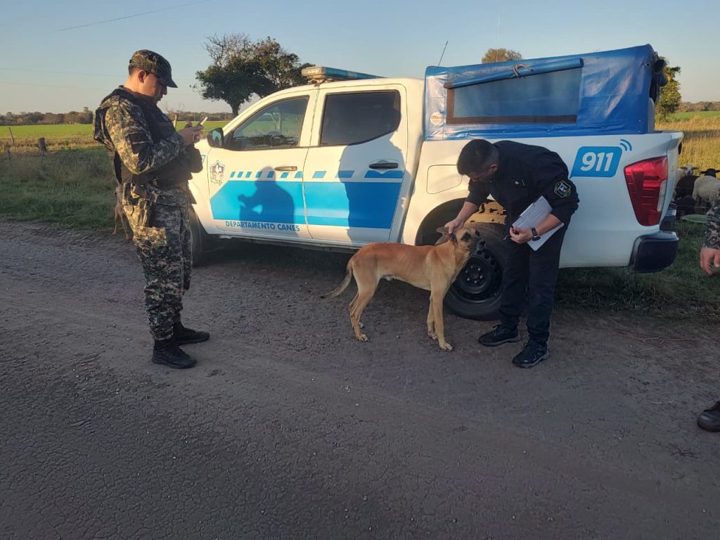 Allanamiento en Basail: secuestraron cuatro perros en una causa por presunto maltrato animal