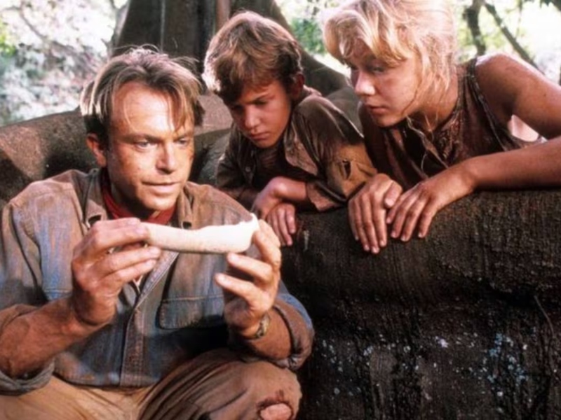 Murió el actor Sam Neill, protagonista de Jurassic Park, a los 78 años Murió el actor Sam Neill, protagonista de Jurassic Park, a los 78 años