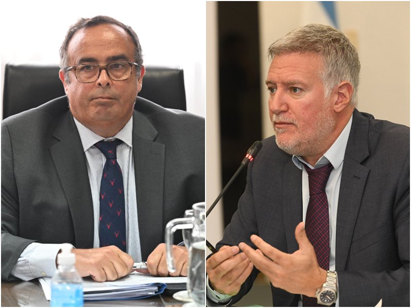 Los jueces Bertuzzi y Yadarola defienden sus pliegos ante el Senado: ocuparán la Cámara que revisa el caso Libra Los jueces Bertuzzi y Yadarola defienden sus pliegos ante el Senado: ocuparán la Cámara que revisa el caso Libra