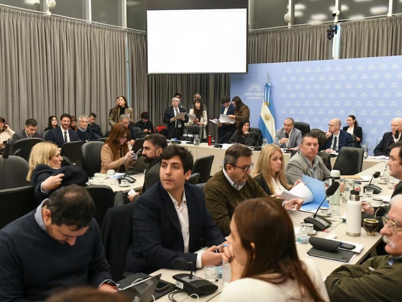 Con límites para los funcionarios, avanza en Diputados el nuevo capítulo de la Inocencia Fiscal Con límites para los funcionarios, avanza en Diputados el nuevo capítulo de la Inocencia Fiscal