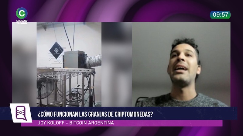 Granjas de criptomonedas: un especialista explicó cómo funcionan y qué se investiga en el caso Exen Granjas de criptomonedas: un especialista explicó cómo funcionan y qué se investiga en el caso Exen