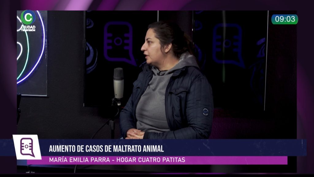 “Va a llegar un momento que no vamos a tener más espacio para albergar perritos”: crecen los casos de maltrato animal y las organizaciones proteccionistas están al límite