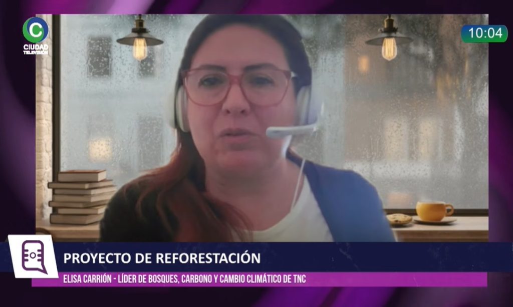Reforestación en Chaco: “Cuando se decide instalar árboles es porque ahí hay una degradación alta” Reforestación en Chaco: “Cuando se decide instalar árboles es porque ahí hay una degradación alta”