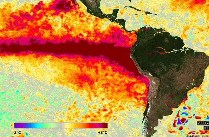 La OMM alertó que el fenómeno de El Niño durará hasta febrero La OMM alertó que el fenómeno de El Niño durará hasta febrero