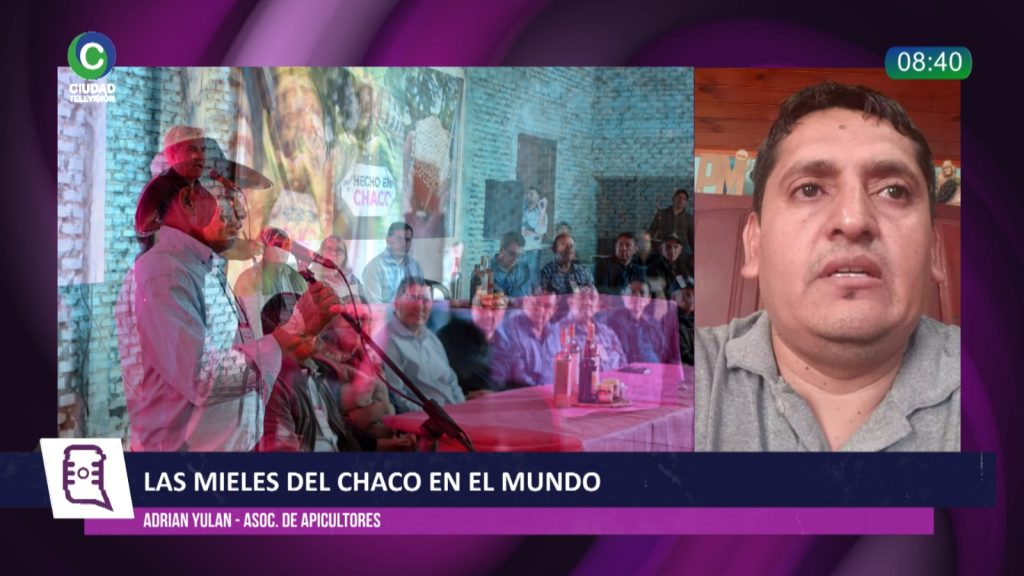 Miel del Impenetrable: la apicultura chaqueña se afianza como producto de exportación