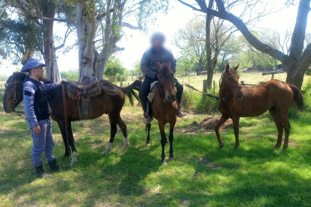 Un caballo reconocido por su dueño destapó una operación irregular de compra y venta