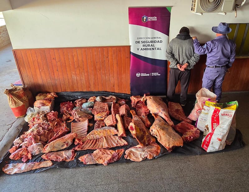 Secuestraron 482 kilos de carne y detuvieron al propietario de una carnicería en Fontana Secuestraron 482 kilos de carne y detuvieron al propietario de una carnicería en Fontana