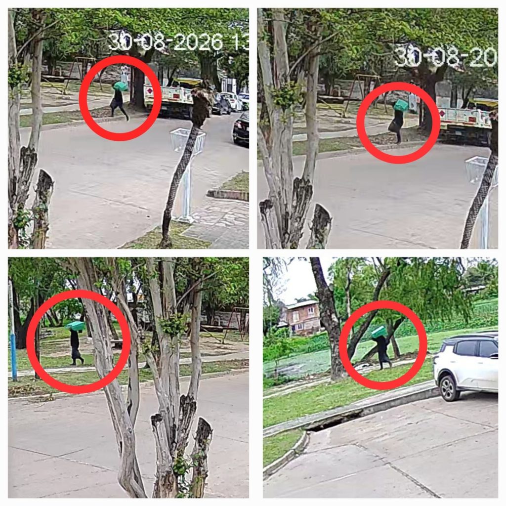 Detuvieron a un hombre por el hurto de una valija con dinero y pertenencias