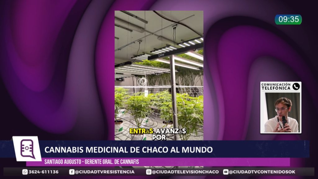El cannabis medicinal chaqueño desembarca en Alemania: “Hace cinco o seis años era impensado”