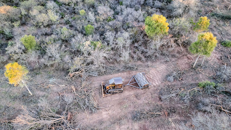 Advierten que más de 73.000 hectáreas fueron deforestadas en el norte argentino Advierten que más de 73.000 hectáreas fueron deforestadas en el norte argentino