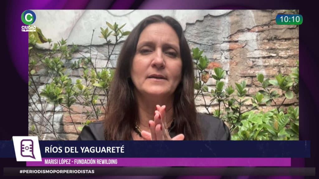 Ríos del Yaguareté: de qué se trata la iniciativa que busca proteger los ríos del Gran Chaco y salvar la fauna silvestre Ríos del Yaguareté: de qué se trata la iniciativa que busca proteger los ríos del Gran Chaco y salvar la fauna silvestre