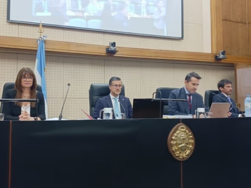 Empezó el juicio Hotesur-Los Sauces, con Cristina y Máximo Kirchner conectados por Zoom Empezó el juicio Hotesur-Los Sauces, con Cristina y Máximo Kirchner conectados por Zoom