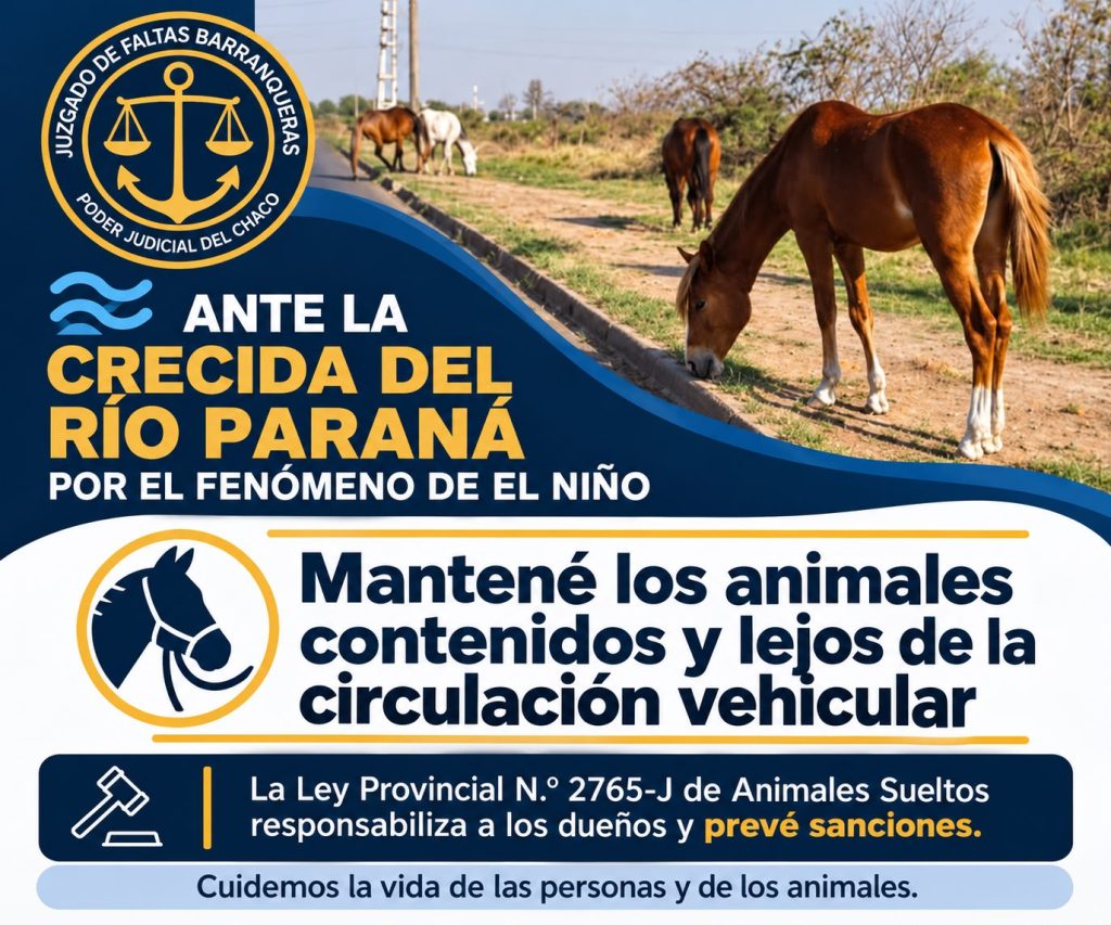 Barranqueras: ante la crecida del Paraná recomiendan cuidar a los animales para evitar accidentes