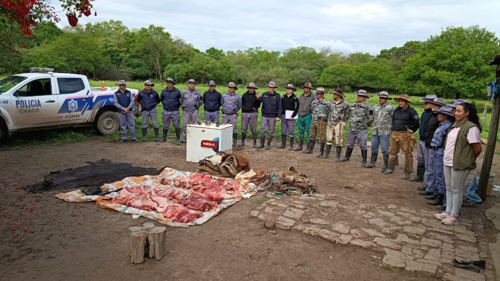 Investigación rural: secuestraron 150 kilos de carne y 56 animales vacunos durante un allanamiento