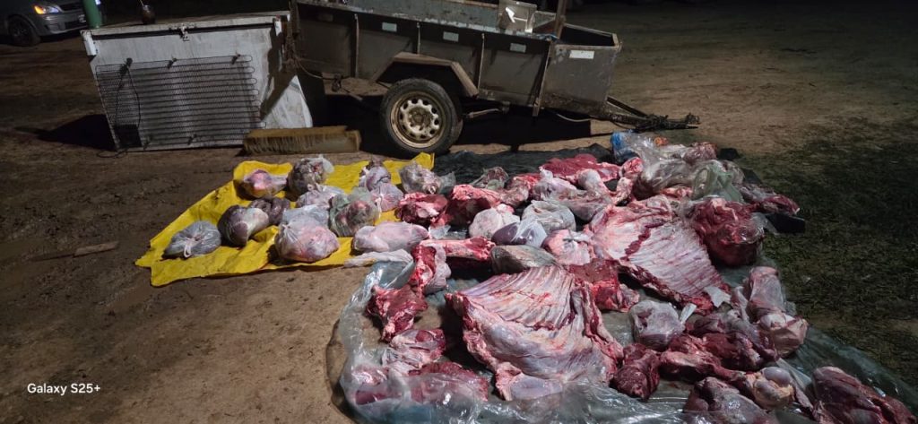Decomisaron 200 kilos de carne y aprehendieron a un hombre en un control rural Decomisaron 200 kilos de carne y aprehendieron a un hombre en un control rural