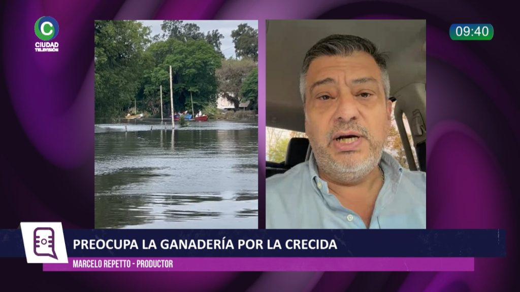 Ganaderos advierten sobre el impacto de la crecida del Paraná y reclama convocar a comisiones provinciales Ganaderos advierten sobre el impacto de la crecida del Paraná y reclama convocar a comisiones provinciales