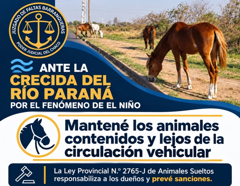Barranqueras: ante la crecida del Paraná el Juzgado de Faltas recomienda cuidar a los animales para evitar accidentes Barranqueras: ante la crecida del Paraná el Juzgado de Faltas recomienda cuidar a los animales para evitar accidentes