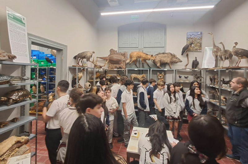 Visita del Instituto “Luis Federico Leloir” al Museo de Ciencias Naturales “Augusto Schulz” Visita del Instituto “Luis Federico Leloir” al Museo de Ciencias Naturales “Augusto Schulz”