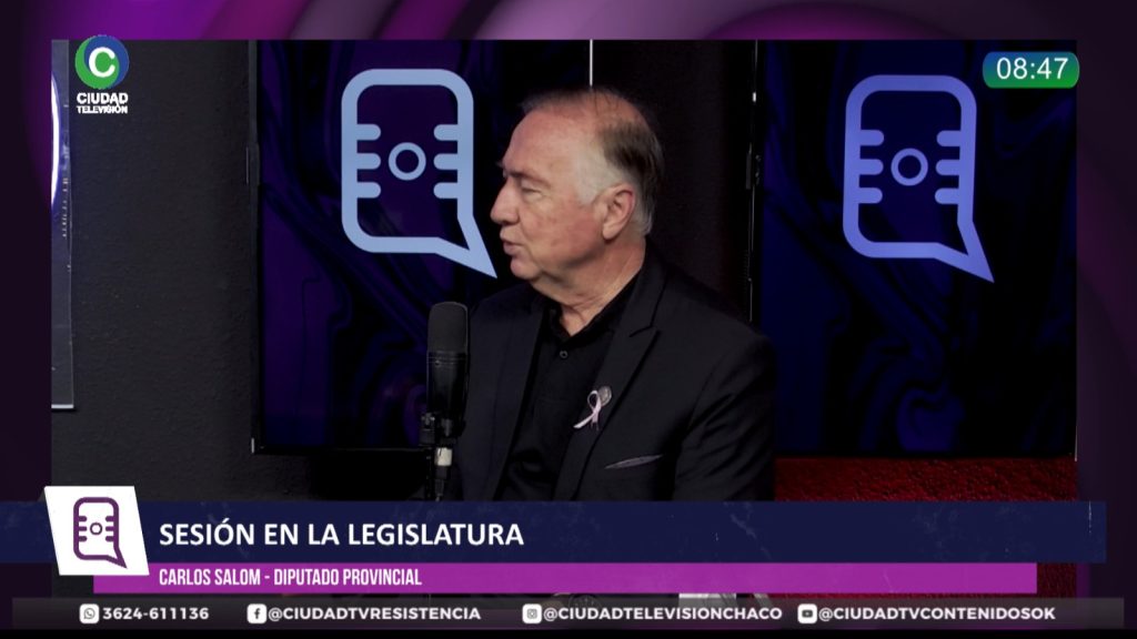 El diputado Salom rechazó cambiar las reglas electorales y reclamó una reforma constitucional de fondo El diputado Salom rechazó cambiar las reglas electorales y reclamó una reforma constitucional de fondo